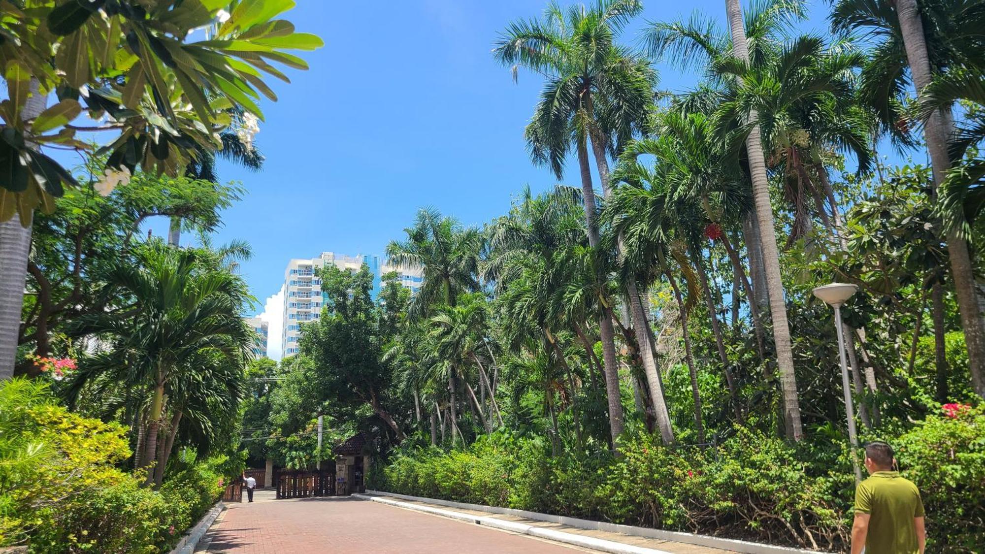 Coralpoint Gardens Suites & Residences マクタン エクステリア 写真